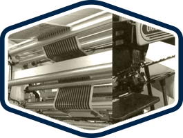 シバタセスコについて