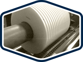 シバタセスコについて