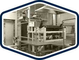 シバタセスコについて